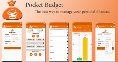 Pocket Budget